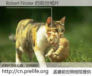 #孟婆前世照相馆# 【Robert Finster 的前世相片】我们都曾从奈何桥上走过，喝下三碗忘川之水烹煮的孟婆汤，忘却了前尘旧事。孟婆前世照相馆，保存着你前世的数码相片。Robert Finster 的前世相片，有图有真相：