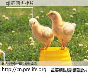 #孟婆前世照相馆# 【cjl 的前世相片】我们都曾从奈何桥上走过，喝下三碗忘川之水烹煮的孟婆汤，忘却了前尘旧事。孟婆前世照相馆，保存着你前世的数码相片。cjl 的前世相片，有图有真相：