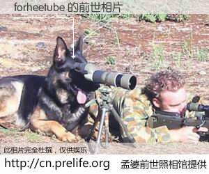 #孟婆前世照相馆# 【forheetube 的前世相片】我们都曾从奈何桥上走过，喝下三碗忘川之水烹煮的孟婆汤，忘却了前尘旧事。孟婆前世照相馆，保存着你前世的数码相片。forheetube 的前世相片，有图有真相：