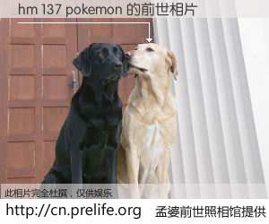 #孟婆前世照相馆# 【hm 137 pokemon 的前世相片】我们都曾从奈何桥上走过，喝下三碗忘川之水烹煮的孟婆汤，忘却了前尘旧事。孟婆前世照相馆，保存着你前世的数码相片。hm 137 pokemon 的前世相片，有图有真相：