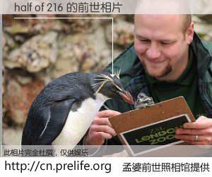 #孟婆前世照相馆# 【half of 216 的前世相片】我们都曾从奈何桥上走过，喝下三碗忘川之水烹煮的孟婆汤，忘却了前尘旧事。孟婆前世照相馆，保存着你前世的数码相片。half of 216 的前世相片，有图有真相：