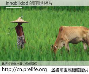 #孟婆前世照相馆# 【inhabilidad 的前世相片】我们都曾从奈何桥上走过，喝下三碗忘川之水烹煮的孟婆汤，忘却了前尘旧事。孟婆前世照相馆，保存着你前世的数码相片。inhabilidad 的前世相片，有图有真相：