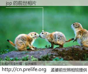 #孟婆前世照相馆# 【jop 的前世相片】我们都曾从奈何桥上走过，喝下三碗忘川之水烹煮的孟婆汤，忘却了前尘旧事。孟婆前世照相馆，保存着你前世的数码相片。jop 的前世相片，有图有真相：