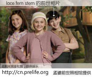 #孟婆前世照相馆# 【lace fern stem 的前世相片】我们都曾从奈何桥上走过，喝下三碗忘川之水烹煮的孟婆汤，忘却了前尘旧事。孟婆前世照相馆，保存着你前世的数码相片。lace fern stem 的前世相片，有图有真相：