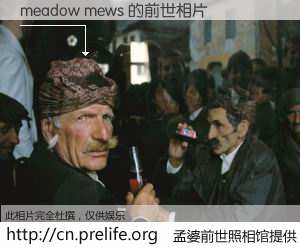 #孟婆前世照相馆# 【meadow mews 的前世相片】我们都曾从奈何桥上走过，喝下三碗忘川之水烹煮的孟婆汤，忘却了前尘旧事。孟婆前世照相馆，保存着你前世的数码相片。meadow mews 的前世相片，有图有真相：