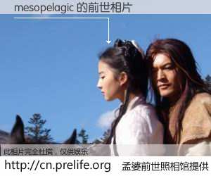 #孟婆前世照相馆# 【mesopelagic 的前世相片】我们都曾从奈何桥上走过，喝下三碗忘川之水烹煮的孟婆汤，忘却了前尘旧事。孟婆前世照相馆，保存着你前世的数码相片。mesopelagic 的前世相片，有图有真相：
