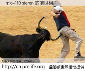 #孟婆前世照相馆# 【mic-110 steren 的前世相片】我们都曾从奈何桥上走过，喝下三碗忘川之水烹煮的孟婆汤，忘却了前尘旧事。孟婆前世照相馆，保存着你前世的数码相片。mic-110 steren 的前世相片，有图有真相：