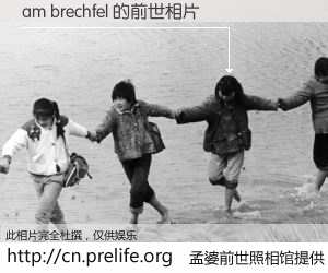 #孟婆前世照相馆# 【am brechfel 的前世相片】我们都曾从奈何桥上走过，喝下三碗忘川之水烹煮的孟婆汤，忘却了前尘旧事。孟婆前世照相馆，保存着你前世的数码相片。am brechfel 的前世相片，有图有真相：