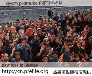 #孟婆前世照相馆# 【ayam pramuka 的前世相片】我们都曾从奈何桥上走过，喝下三碗忘川之水烹煮的孟婆汤，忘却了前尘旧事。孟婆前世照相馆，保存着你前世的数码相片。ayam pramuka 的前世相片，有图有真相：