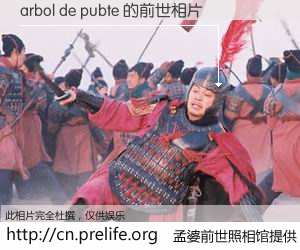 #孟婆前世照相馆# 【arbol de pubte 的前世相片】我们都曾从奈何桥上走过，喝下三碗忘川之水烹煮的孟婆汤，忘却了前尘旧事。孟婆前世照相馆，保存着你前世的数码相片。arbol de pubte 的前世相片，有图有真相：