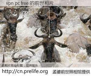 #孟婆前世照相馆# 【vpn pc free 的前世相片】我们都曾从奈何桥上走过，喝下三碗忘川之水烹煮的孟婆汤，忘却了前尘旧事。孟婆前世照相馆，保存着你前世的数码相片。vpn pc free 的前世相片，有图有真相：