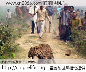 #孟婆前世照相馆# 【www,cn2026.com 的前世相片】我们都曾从奈何桥上走过，喝下三碗忘川之水烹煮的孟婆汤，忘却了前尘旧事。孟婆前世照相馆，保存着你前世的数码相片。www,cn2026.com 的前世相片，有图有真相：