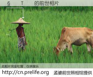 #孟婆前世照相馆# 【���T�� 的前世相片】我们都曾从奈何桥上走过，喝下三碗忘川之水烹煮的孟婆汤，忘却了前尘旧事。孟婆前世照相馆，保存着你前世的数码相片。���T�� 的前世相片，有图有真相：