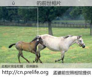 #åŸå©†å‰ä¸–照相馆# 〹ù¹¢Ææ çš„å‰ä¸–相片】我们都曾从奈何桥上走过,å–下三碗忘å·ä¹‹æ°´çƒ¹ç…®çš„åŸå©†æ±¤ï¼Œå¿˜å´äº†å‰å°˜æ—§äº‹ã€‚åŸå©†å‰ä¸–照相馆,ä¿å˜ç€ä½ å‰ä¸–的数ç 相片。¹ù¹¢Ææ çš„å‰ä¸–相片,有图有真相: