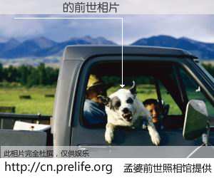 #孟婆前世照相馆# 【��� 的前世相片】我们都曾从奈何桥上走过，喝下三碗忘川之水烹煮的孟婆汤，忘却了前尘旧事。孟婆前世照相馆，保存着你前世的数码相片。��� 的前世相片，有图有真相：