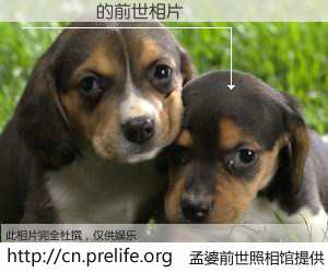 #孟婆前世照相馆# 【��� 的前世相片】我们都曾从奈何桥上走过，喝下三碗忘川之水烹煮的孟婆汤，忘却了前尘旧事。孟婆前世照相馆，保存着你前世的数码相片。��� 的前世相片，有图有真相：