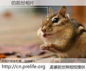 #孟婆前世照相馆# 【Ӧ 的前世相片】我们都曾从奈何桥上走过，喝下三碗忘川之水烹煮的孟婆汤，忘却了前尘旧事。孟婆前世照相馆，保存着你前世的数码相片。Ӧ 的前世相片，有图有真相：
