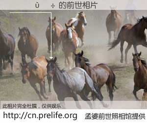 #孟婆前世照相馆# 【������ 的前世相片】我们都曾从奈何桥上走过，喝下三碗忘川之水烹煮的孟婆汤，忘却了前尘旧事。孟婆前世照相馆，保存着你前世的数码相片。������ 的前世相片，有图有真相：