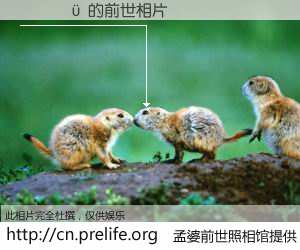 #孟婆前世照相馆# 【��� 的前世相片】我们都曾从奈何桥上走过，喝下三碗忘川之水烹煮的孟婆汤，忘却了前尘旧事。孟婆前世照相馆，保存着你前世的数码相片。��� 的前世相片，有图有真相：