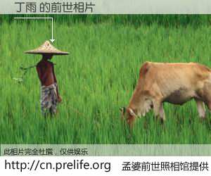 #孟婆前世照相馆# 【丁雨 的前世相片】我们都曾从奈何桥上走过，喝下三碗忘川之水烹煮的孟婆汤，忘却了前尘旧事。孟婆前世照相馆，保存着你前世的数码相片。丁雨 的前世相片，有图有真相：