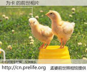 #孟婆前世照相馆# 【为卡 的前世相片】我们都曾从奈何桥上走过，喝下三碗忘川之水烹煮的孟婆汤，忘却了前尘旧事。孟婆前世照相馆，保存着你前世的数码相片。为卡 的前世相片，有图有真相：