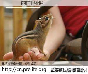 #孟婆前世照相馆# 【內馬爾 的前世相片】我们都曾从奈何桥上走过，喝下三碗忘川之水烹煮的孟婆汤，忘却了前尘旧事。孟婆前世照相馆，保存着你前世的数码相片。內馬爾 的前世相片，有图有真相：