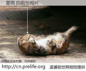 #孟婆前世照相馆# 【冒雨 的前世相片】我们都曾从奈何桥上走过，喝下三碗忘川之水烹煮的孟婆汤，忘却了前尘旧事。孟婆前世照相馆，保存着你前世的数码相片。冒雨 的前世相片，有图有真相：