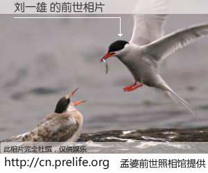 #孟婆前世照相馆# 【刘一雄 的前世相片】我们都曾从奈何桥上走过，喝下三碗忘川之水烹煮的孟婆汤，忘却了前尘旧事。孟婆前世照相馆，保存着你前世的数码相片。刘一雄 的前世相片，有图有真相：