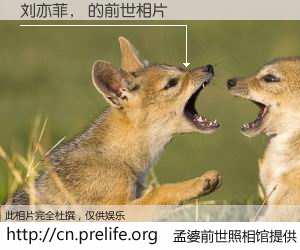 #孟婆前世照相馆# 【刘亦菲， 的前世相片】我们都曾从奈何桥上走过，喝下三碗忘川之水烹煮的孟婆汤，忘却了前尘旧事。孟婆前世照相馆，保存着你前世的数码相片。刘亦菲， 的前世相片，有图有真相：
