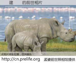 #孟婆前世照相馆# 【創建電気 的前世相片】我们都曾从奈何桥上走过，喝下三碗忘川之水烹煮的孟婆汤，忘却了前尘旧事。孟婆前世照相馆，保存着你前世的数码相片。創建電気 的前世相片，有图有真相：
