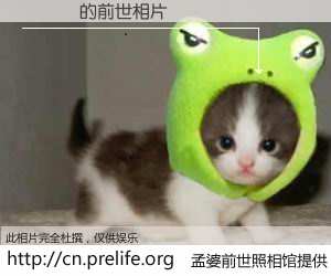 #孟婆前世照相馆# 【劉詩貽 的前世相片】我们都曾从奈何桥上走过，喝下三碗忘川之水烹煮的孟婆汤，忘却了前尘旧事。孟婆前世照相馆，保存着你前世的数码相片。劉詩貽 的前世相片，有图有真相：