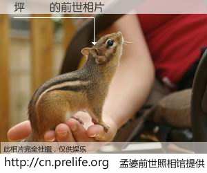 #孟婆前世照相馆# 【坪単価 的前世相片】我们都曾从奈何桥上走过，喝下三碗忘川之水烹煮的孟婆汤，忘却了前尘旧事。孟婆前世照相馆，保存着你前世的数码相片。坪単価 的前世相片，有图有真相：