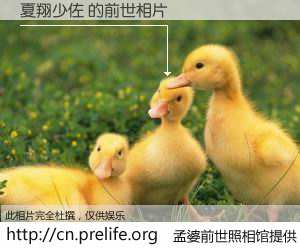 #孟婆前世照相馆# 【夏翔少佐 的前世相片】我们都曾从奈何桥上走过，喝下三碗忘川之水烹煮的孟婆汤，忘却了前尘旧事。孟婆前世照相馆，保存着你前世的数码相片。夏翔少佐 的前世相片，有图有真相：