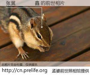 #孟婆前世照相馆# 【张翼𠓾鑫 的前世相片】我们都曾从奈何桥上走过，喝下三碗忘川之水烹煮的孟婆汤，忘却了前尘旧事。孟婆前世照相馆，保存着你前世的数码相片。张翼𠓾鑫 的前世相片，有图有真相：