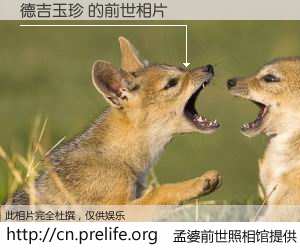 #孟婆前世照相馆# 【德吉玉珍 的前世相片】我们都曾从奈何桥上走过，喝下三碗忘川之水烹煮的孟婆汤，忘却了前尘旧事。孟婆前世照相馆，保存着你前世的数码相片。德吉玉珍 的前世相片，有图有真相：