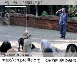 #孟婆前世照相馆# 【情緒分類 的前世相片】我们都曾从奈何桥上走过，喝下三碗忘川之水烹煮的孟婆汤，忘却了前尘旧事。孟婆前世照相馆，保存着你前世的数码相片。情緒分類 的前世相片，有图有真相：