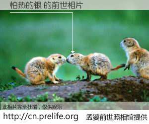 #孟婆前世照相馆# 【怕热的银 的前世相片】我们都曾从奈何桥上走过，喝下三碗忘川之水烹煮的孟婆汤，忘却了前尘旧事。孟婆前世照相馆，保存着你前世的数码相片。怕热的银 的前世相片，有图有真相：