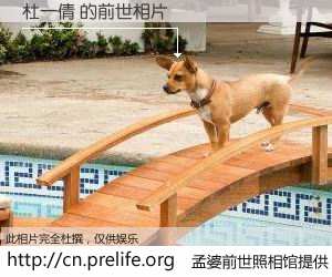 #孟婆前世照相馆# 【杜一倩 的前世相片】我们都曾从奈何桥上走过，喝下三碗忘川之水烹煮的孟婆汤，忘却了前尘旧事。孟婆前世照相馆，保存着你前世的数码相片。杜一倩 的前世相片，有图有真相：