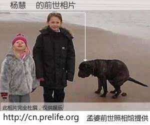 #孟婆前世照相馆# 【杨慧瑄 的前世相片】我们都曾从奈何桥上走过，喝下三碗忘川之水烹煮的孟婆汤，忘却了前尘旧事。孟婆前世照相馆，保存着你前世的数码相片。杨慧瑄 的前世相片，有图有真相：