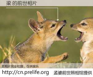 #孟婆前世照相馆# 【梁 的前世相片】我们都曾从奈何桥上走过，喝下三碗忘川之水烹煮的孟婆汤，忘却了前尘旧事。孟婆前世照相馆，保存着你前世的数码相片。梁 的前世相片，有图有真相：