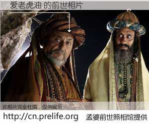 #孟婆前世照相馆# 【爱老虎油 的前世相片】我们都曾从奈何桥上走过，喝下三碗忘川之水烹煮的孟婆汤，忘却了前尘旧事。孟婆前世照相馆，保存着你前世的数码相片。爱老虎油 的前世相片，有图有真相：