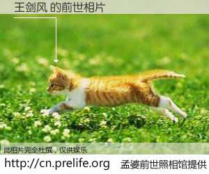 #孟婆前世照相馆# 【王剑风 的前世相片】我们都曾从奈何桥上走过，喝下三碗忘川之水烹煮的孟婆汤，忘却了前尘旧事。孟婆前世照相馆，保存着你前世的数码相片。王剑风 的前世相片，有图有真相：