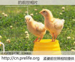 #孟婆前世照相馆# 【蘇儀蓮 的前世相片】我们都曾从奈何桥上走过，喝下三碗忘川之水烹煮的孟婆汤，忘却了前尘旧事。孟婆前世照相馆，保存着你前世的数码相片。蘇儀蓮 的前世相片，有图有真相：