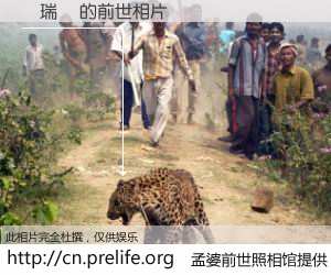 #孟婆前世照相馆# 【許瑞靜 的前世相片】我们都曾从奈何桥上走过，喝下三碗忘川之水烹煮的孟婆汤，忘却了前尘旧事。孟婆前世照相馆，保存着你前世的数码相片。許瑞靜 的前世相片，有图有真相：