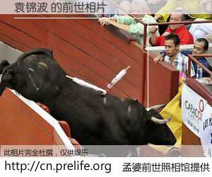 #孟婆前世照相馆# 【袁锦波 的前世相片】我们都曾从奈何桥上走过，喝下三碗忘川之水烹煮的孟婆汤，忘却了前尘旧事。孟婆前世照相馆，保存着你前世的数码相片。袁锦波 的前世相片，有图有真相：