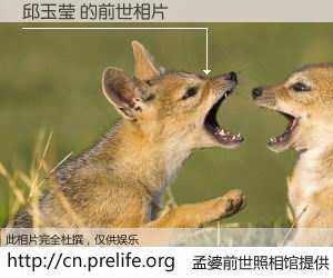 #孟婆前世照相馆# 【邱玉莹 的前世相片】我们都曾从奈何桥上走过，喝下三碗忘川之水烹煮的孟婆汤，忘却了前尘旧事。孟婆前世照相馆，保存着你前世的数码相片。邱玉莹 的前世相片，有图有真相：