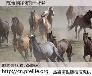 #孟婆前世照相馆# 【陈维娜 的前世相片】我们都曾从奈何桥上走过，喝下三碗忘川之水烹煮的孟婆汤，忘却了前尘旧事。孟婆前世照相馆，保存着你前世的数码相片。陈维娜 的前世相片，有图有真相：