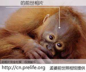 #孟婆前世照相馆# 【黃凱軒 的前世相片】我们都曾从奈何桥上走过，喝下三碗忘川之水烹煮的孟婆汤，忘却了前尘旧事。孟婆前世照相馆，保存着你前世的数码相片。黃凱軒 的前世相片，有图有真相：