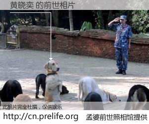 #孟婆前世照相馆# 【黄晓奕 的前世相片】我们都曾从奈何桥上走过，喝下三碗忘川之水烹煮的孟婆汤，忘却了前尘旧事。孟婆前世照相馆，保存着你前世的数码相片。黄晓奕 的前世相片，有图有真相：