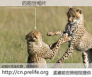 #孟婆前世照相馆# 【�ֽ� 的前世相片】我们都曾从奈何桥上走过，喝下三碗忘川之水烹煮的孟婆汤，忘却了前尘旧事。孟婆前世照相馆，保存着你前世的数码相片。�ֽ� 的前世相片，有图有真相：